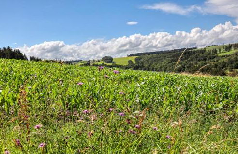 Cozy Home In Irrhausen With Sauna - Foto 36