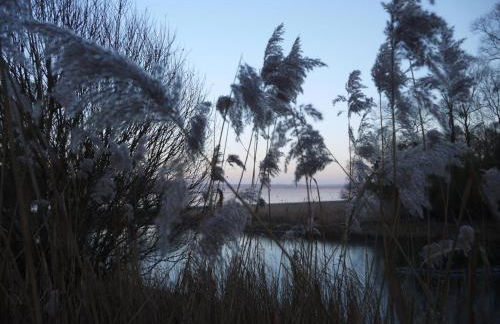 Au clos de marie - Foto 36