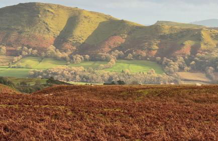 Gooseyard at Middle Farm and Cottages - Foto 20