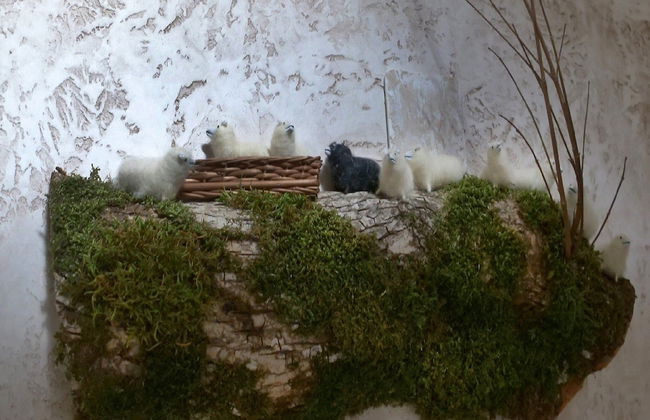 Holiday Home Anka - Foto 16