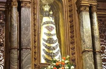 1 La fisarmonica del Conero - Foto 23