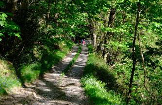 Ty Farm Retreat - Farmhouse Studio - Mountain View - Foto 31