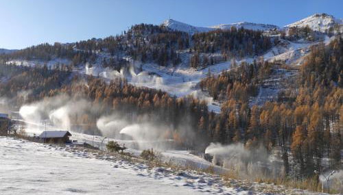 LES CHATAIGNIERS GRIS - Foto 4
