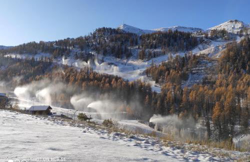 LES CHATAIGNIERS GRIS - Photo 4