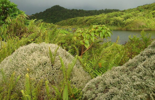 Pinard's Mountain Resort- Cottage 8 - Foto 59