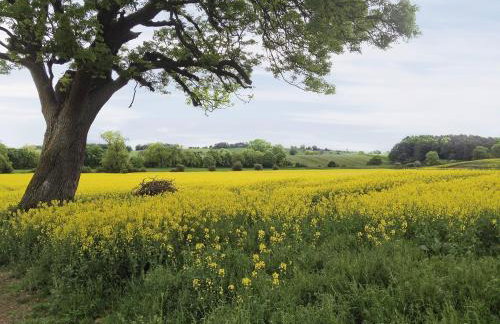 Sykelands Cottage - Foto 12