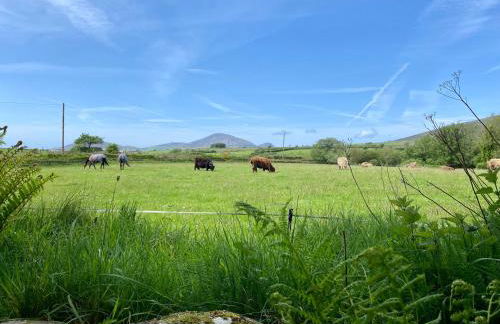 Hendy Cottage - Photo 26