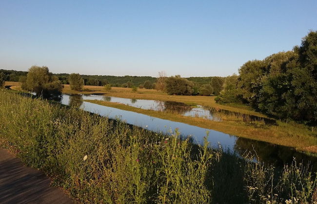 Mikin dol Baranja Country House - Foto 44