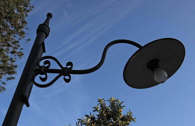 The Garden in the City Center - Foto 42