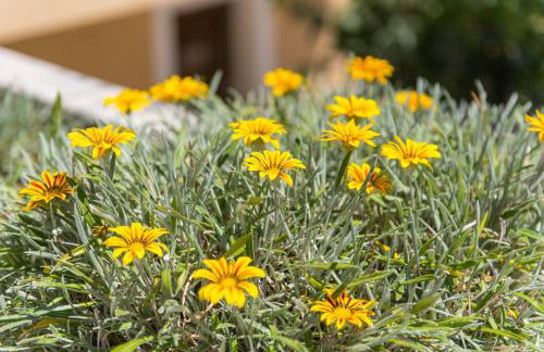 Villa Bellavista - Foto 56