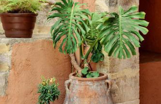 The Yard Residence - Foto 55