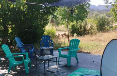 Mas de Manresa - Foto 6