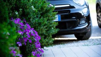 Agriturismo Olistella - Foto 5