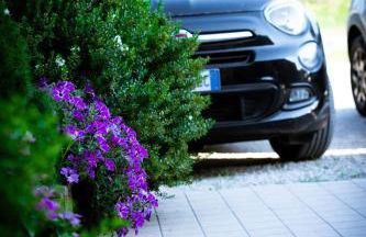 Agriturismo Olistella - Photo 5