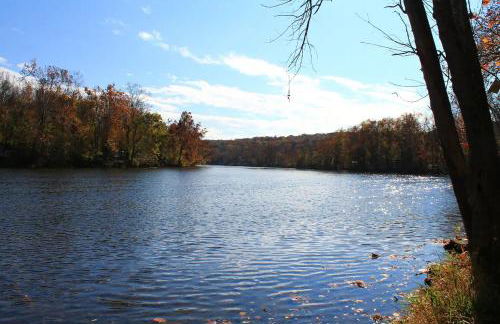 The Perch - Riverfront, Starlinks WiFi & Hot Tub - Photo 18