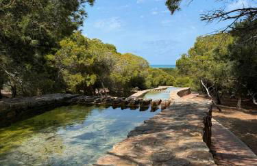 Apartment in La Mata Parquemar - Foto 39