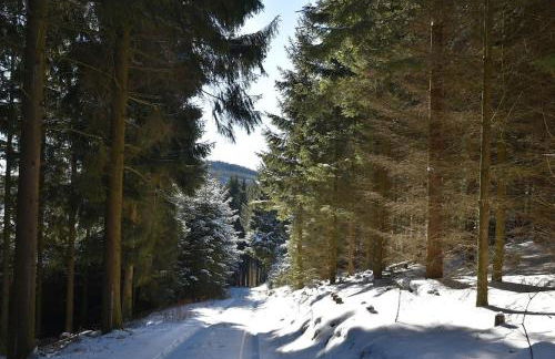 Geräumige Ferienwohnung 90 sqm im Erholungsort - Foto 16