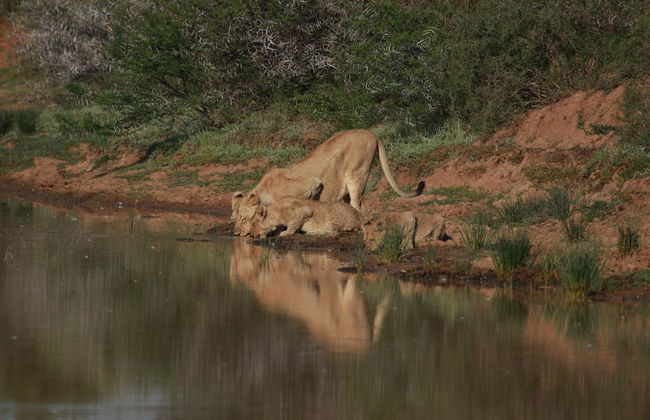 Uplands Homestead - Photo 27