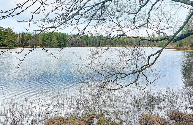 8 Person Holiday Home in Hestra-by Traum - Foto 17