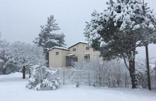 Loft Studio Raxes Kastanies Ikaria # 6 - Foto 14