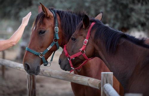 A Casa do Governador - Foto 86