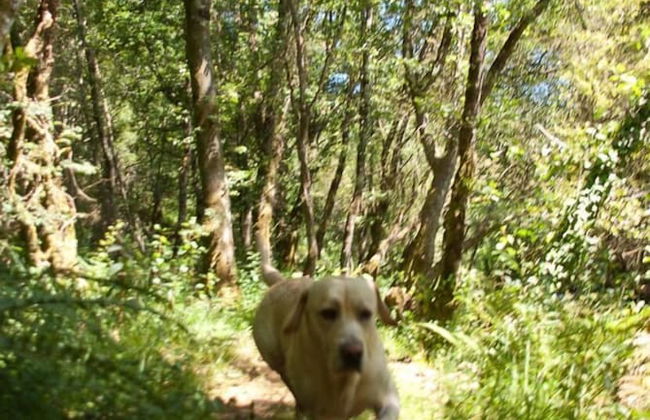 O Muíño de Pena Casa Rural - Photo 43