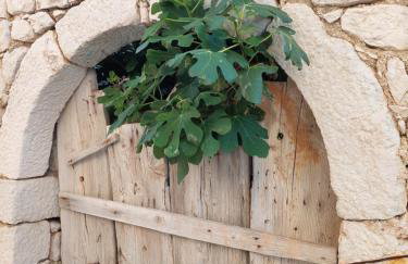 Apartman Maris, self check in - Photo 48