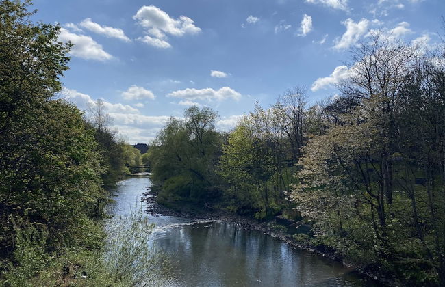 Captivating Apartment in Glasgow Westend, uk - Foto 24