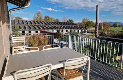 FeWo2 großräumige FeWo in Riegel am Kaiserstuhl über 2 Etagen, Galerie, Balkon - Foto 29