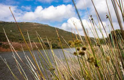 Casa Rural Valle de los Molinos - Foto 46