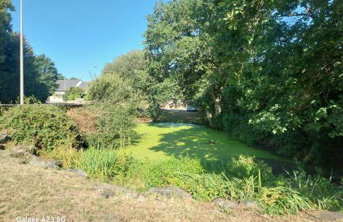 maison de campagne - Foto 14