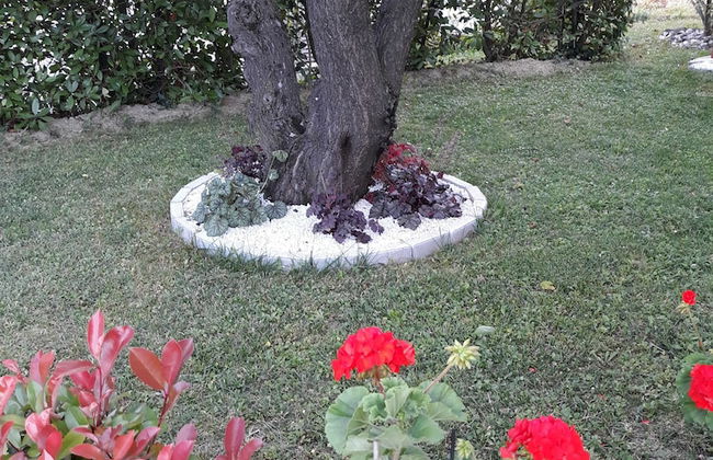 Bonini Apartments - Adults Only - Foto 43