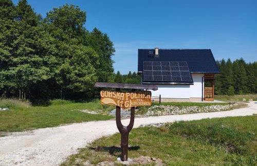 Górska Polana, Stronie Śląskie - Młynowiec - Foto 20