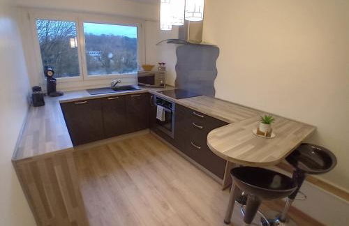 Vue du Doubs T4 cosy très bien situé - Foto 8