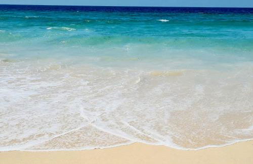 Arrábida Cozy House - Foto 69