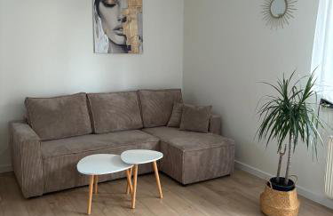 Przestronny apartament w Lubawie z dwoma pokojami i świetnym wyposażeniem - Foto 1