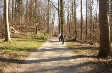 Auszeit zu zweit - Usedom Ferienwohnungen Tannengrund - Foto 39