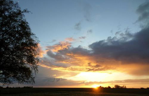 Haus Sonnenhof am Dollart 45240 - Foto 14