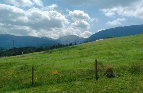 Studio Apartment Hochgratflair - Foto 14