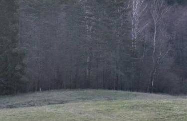 Agroturystyka Żółta Ostoja - Foto 38