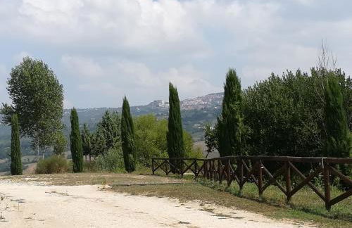 Agriturismo I Tre Ulivi - Foto 25