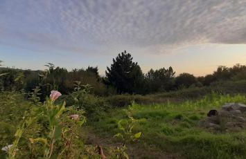 Casa da Canella - En la Ribeira Sacra - Foto 49