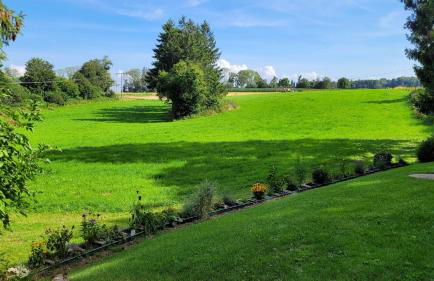 Bienenhaus - Photo 2