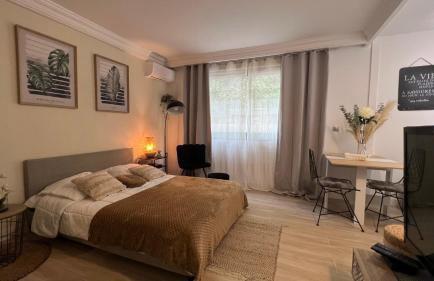 LE MIRAMAR Nice - Clim, Parking, Wifi et piscine - Foto 16
