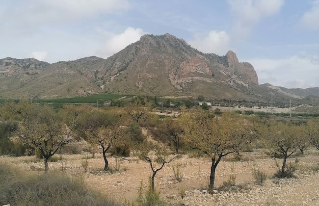 The Olive Mill Aparthotel - Foto 17