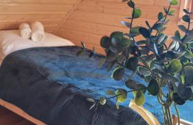 Sękowy Domek - Foto 19