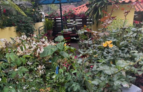 Terra Chã Cottage,FEEL Home, - Foto 3