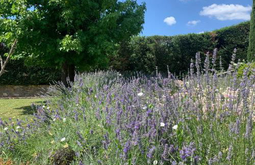Appartamento in Villa con Piscina - Mhateria Relais - Foto 10