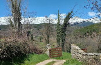 Los Prejones - Photo 43