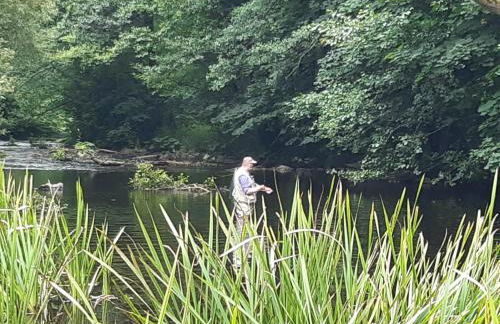 Haus Bodetal - Foto 22